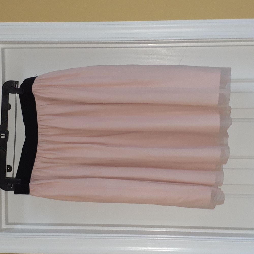 Forever 21 Pale Pink Midi Skirt with Black Waistband